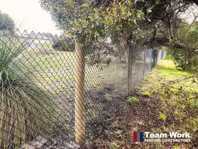 Black chain link fencing pine poles installation by our team (Team Work Fencing Contractors Perth)